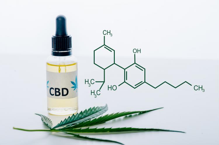 Scientists Discover Two New Cannabinoids | High Green News