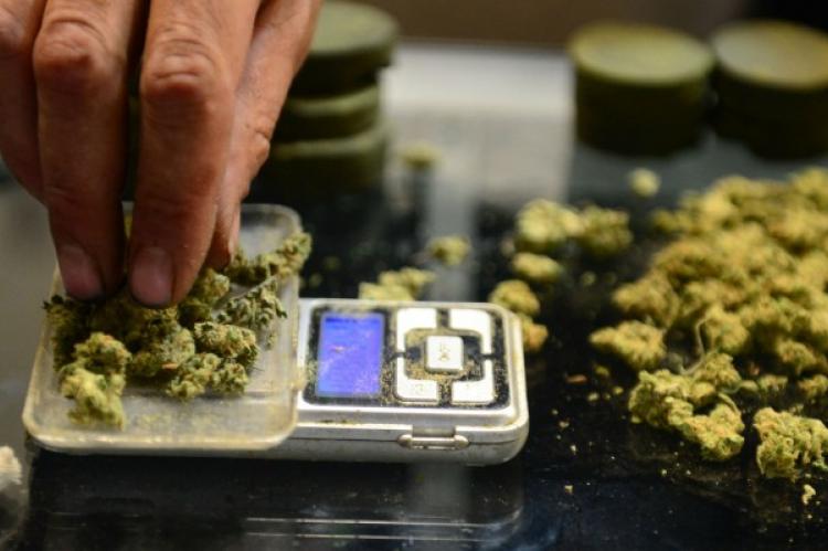 Best Darknet Markets For Marijuana Best Darknet Markets For Marijuana